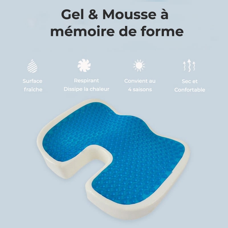 Coussin Orthopédique d'Assise